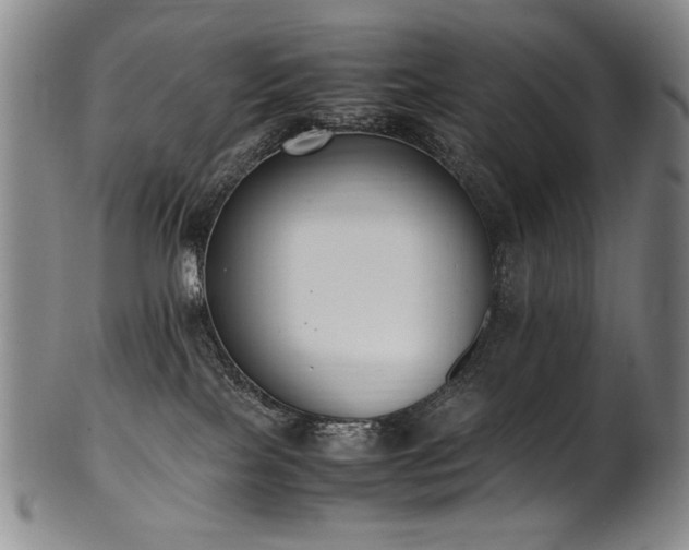 X0000102470089200808081300