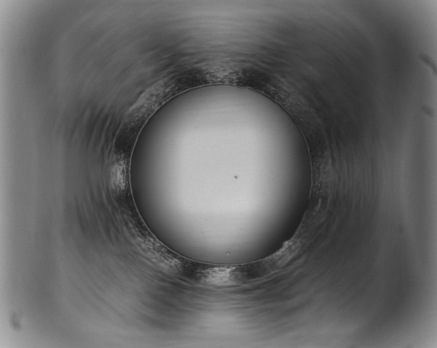 X0000102470090200808081300