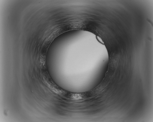 X0000102470091200808081300