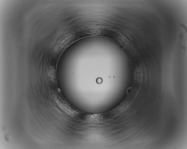 X0000102470092200808081300