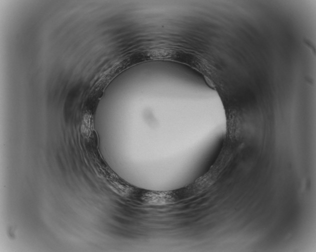 X0000102470093200808081300