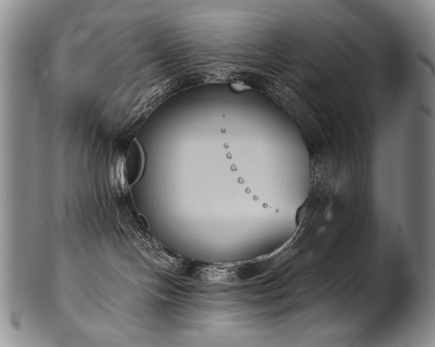X0000102470094200808081300