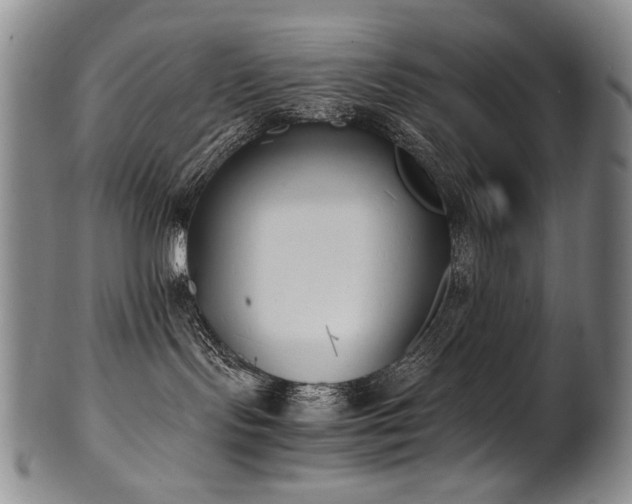 X0000102470095200808081300