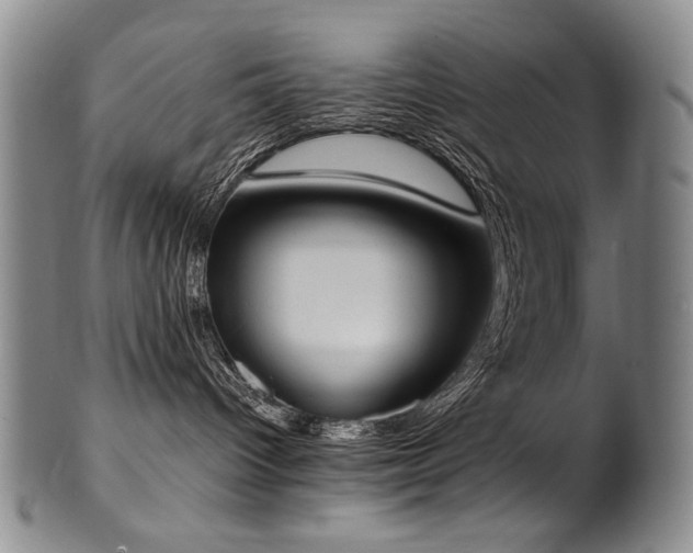 X0000102470096200808081300