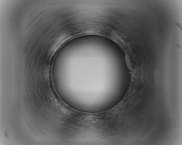 X0000102470098200808081300