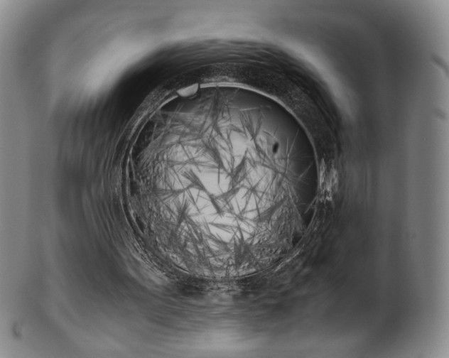 X0000102470099200808081300