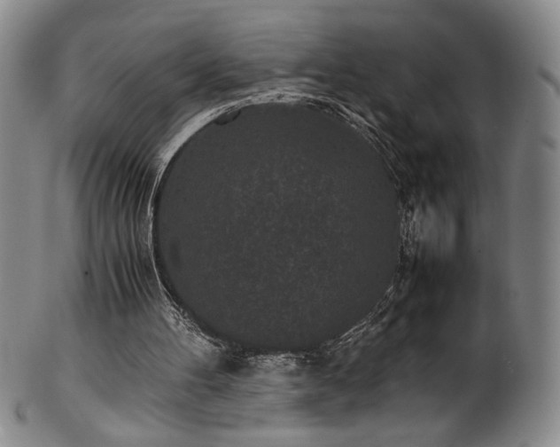 X0000102470100200808081300