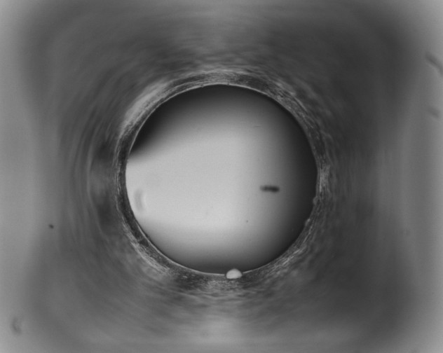 X0000102470101200808081300
