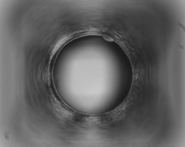 X0000102470102200808081259