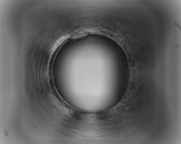 X0000102470104200808081259
