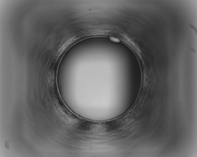 X0000102470107200808081259