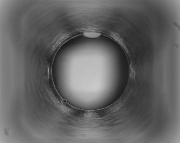 X0000102470109200808081259