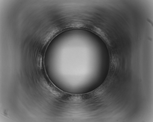 X0000102470110200808081259