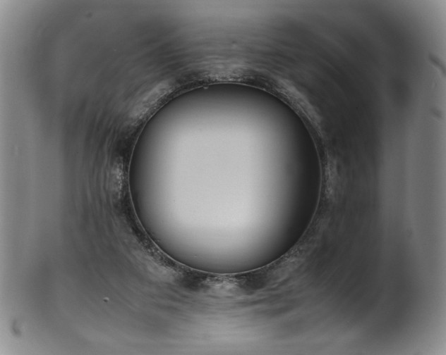 X0000102470113200808081259