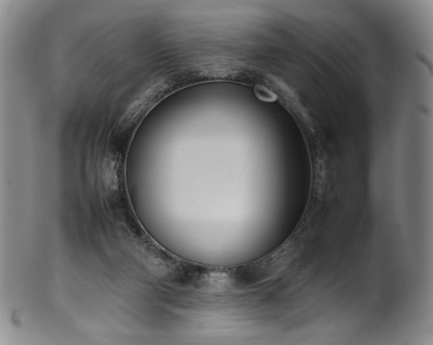 X0000102470114200808081259