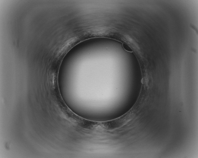 X0000102470115200808081259