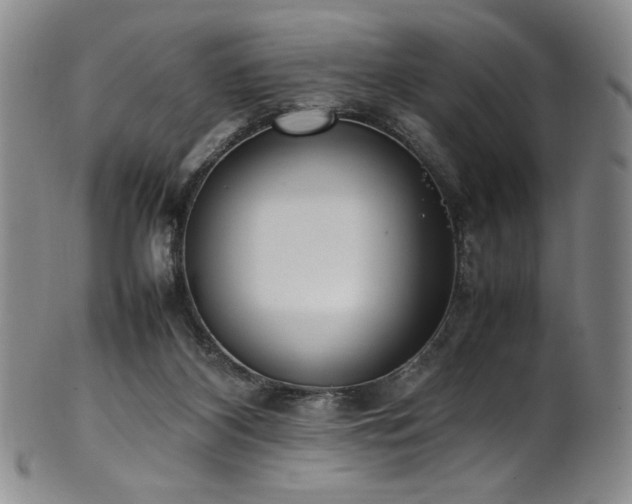 X0000102470116200808081259