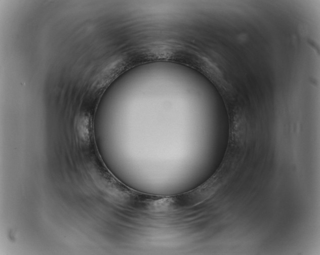 X0000102470122200808081259