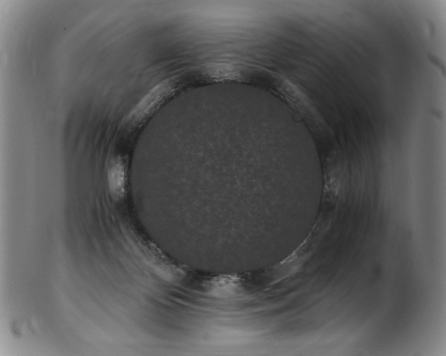 X0000102470124200808081259