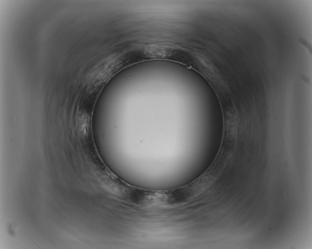 X0000102470125200808081259