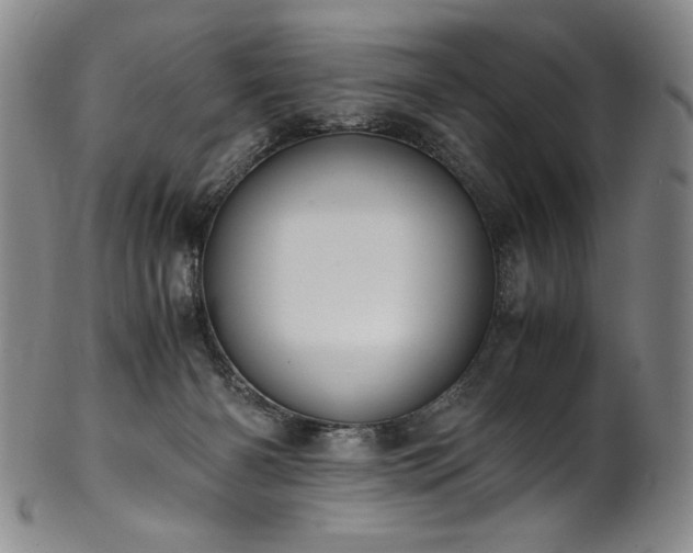 X0000102470126200808081259