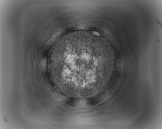 X0000102470127200808081259
