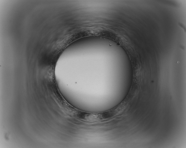 X0000102470129200808081259