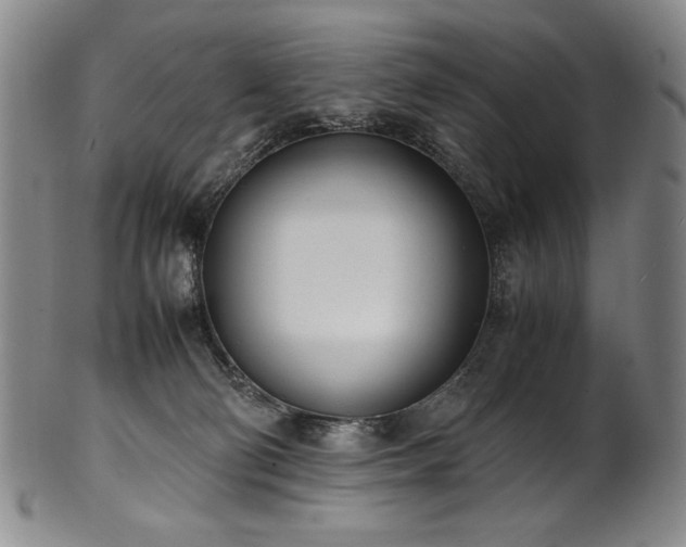 X0000102470130200808081259