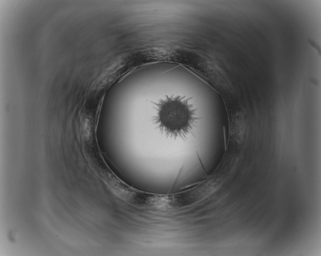 X0000102470131200808081259
