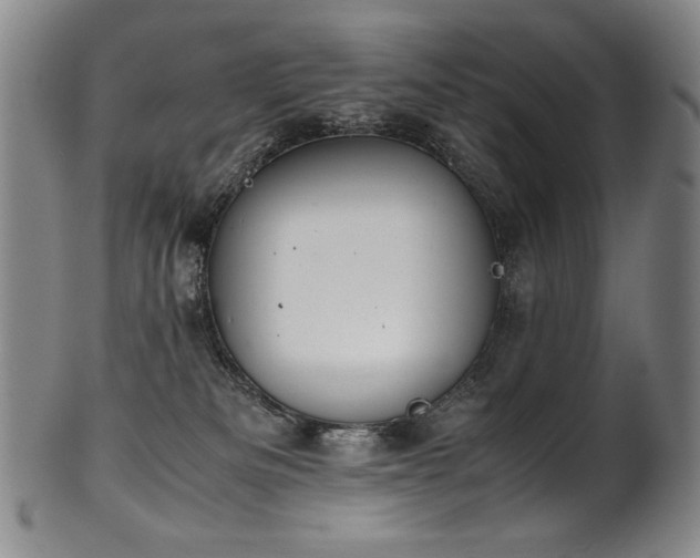 X0000102470133200808081259