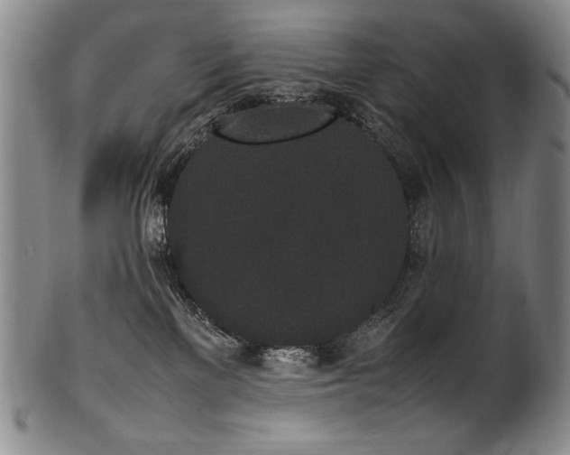 X0000102470137200808081259