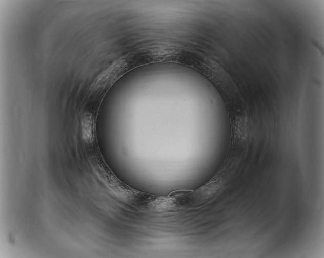 X0000102470138200808081259