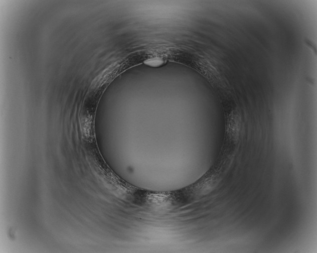 X0000102470139200808081259