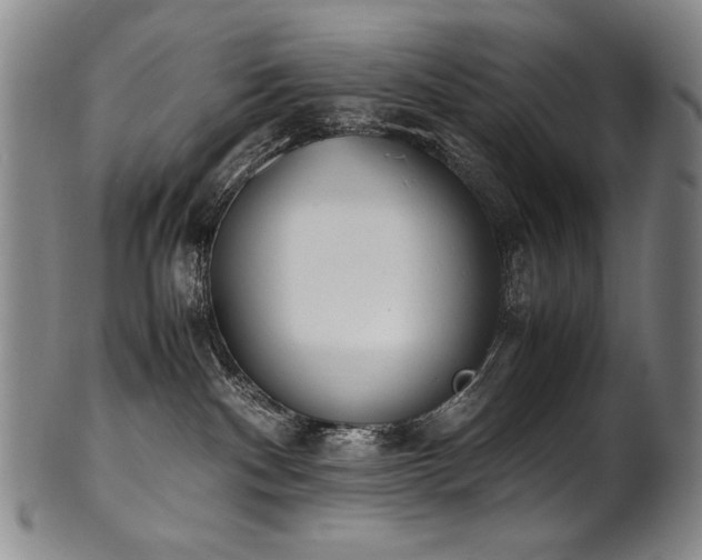 X0000102470140200808081259