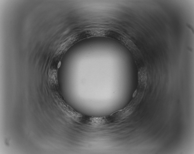 X0000102470141200808081259