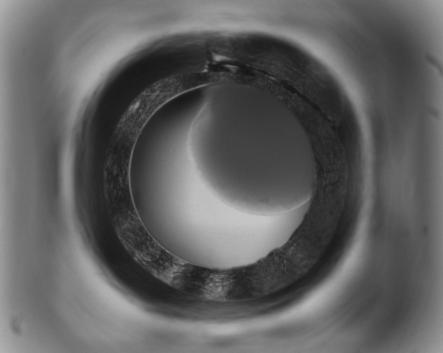 X0000102470143200808081259