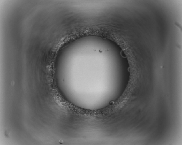 X0000102470144200808081259