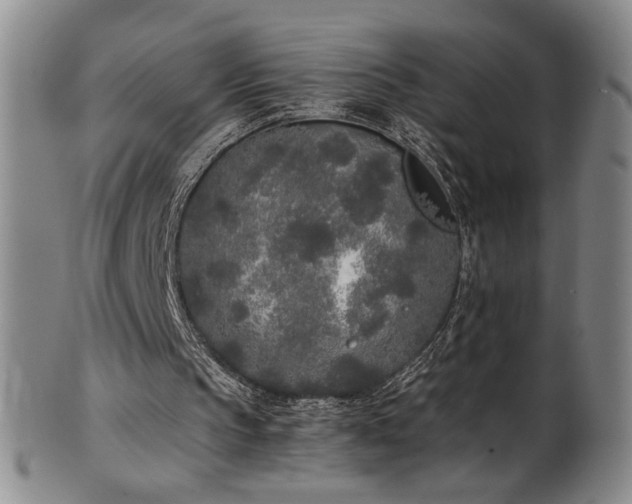 X0000102470145200808081258