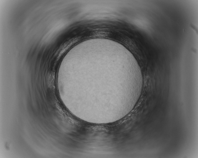 X0000102470146200808081258