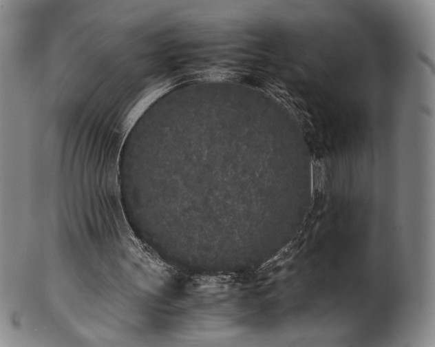 X0000102470147200808081258