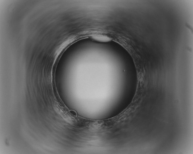 X0000102470148200808081258