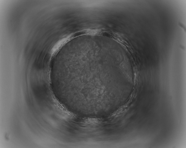 X0000102470149200808081258