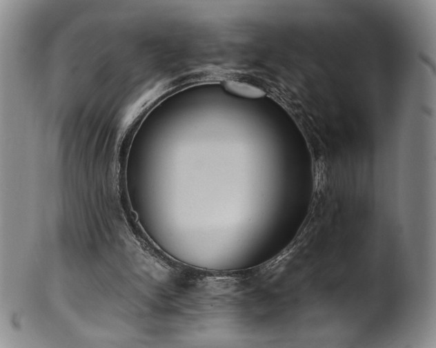 X0000102470150200808081258