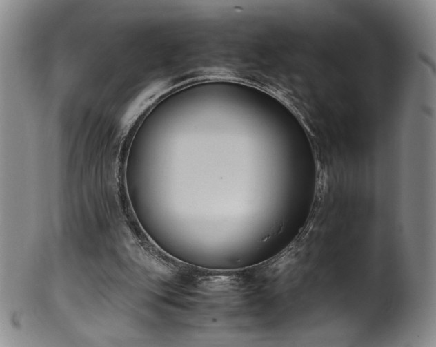 X0000102470151200808081258