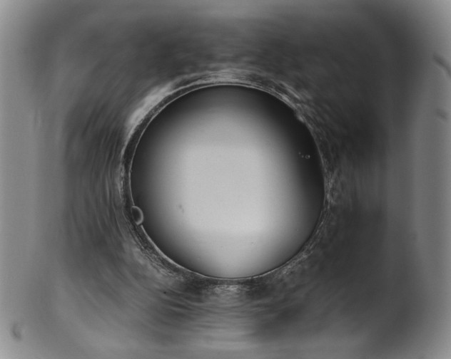 X0000102470152200808081258
