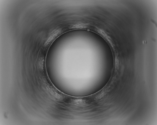 X0000102470153200808081258