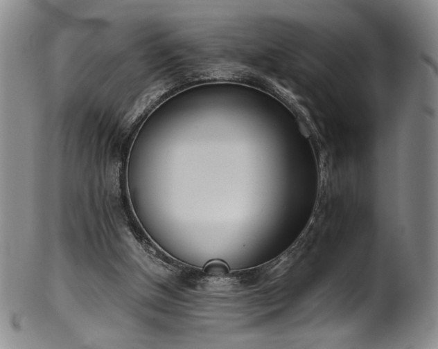 X0000102470154200808081258