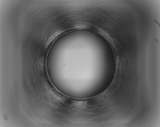 X0000102470155200808081258