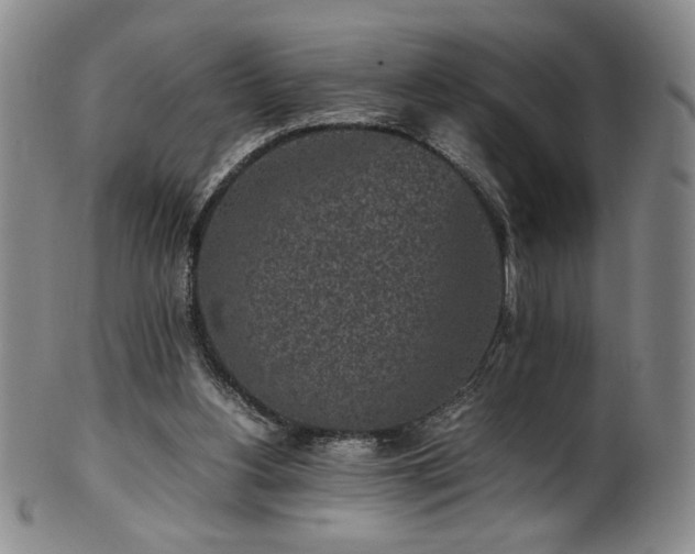 X0000102470156200808081258