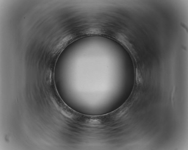 X0000102470157200808081258